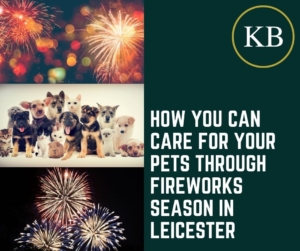 How you can care for your pets through fireworks season in Leicester