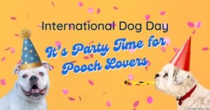 International Dog Day: It’s Party Time for Pooch Lovers in Leicester 