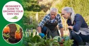 Beginner’s Guide to Growing Your Own Veg