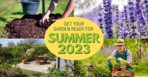 Get Your Leicester Garden Ready for Summer 2023