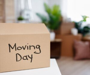 From Playdates to Packing: A Six-Year-Old’s Tale of Moving House